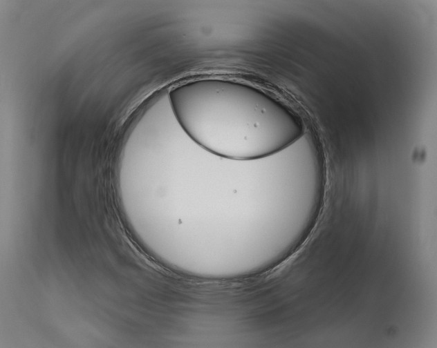 X0000111821449200907231012