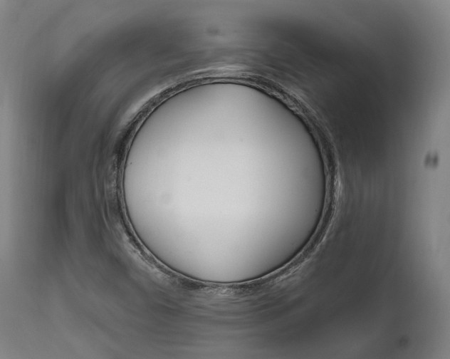 X0000111821450200907231012