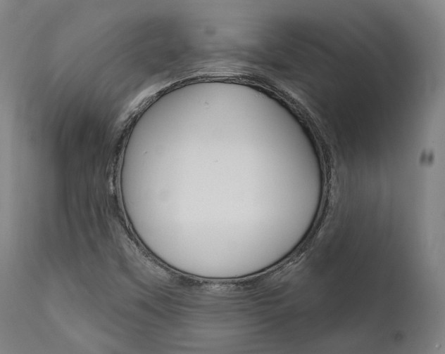 X0000111821451200907231012