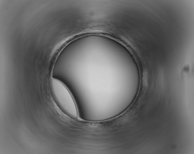 X0000111821452200907231012