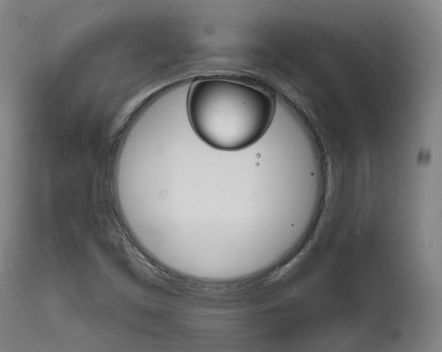 X0000111821453200907231012