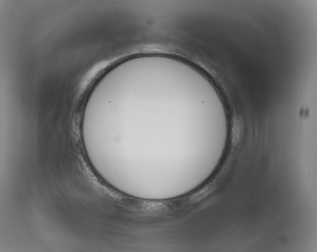 X0000111821454200907231012