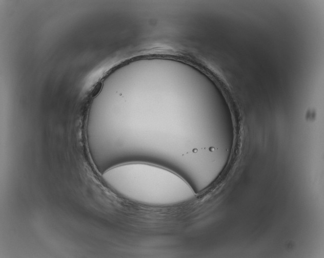 X0000111821455200907231012