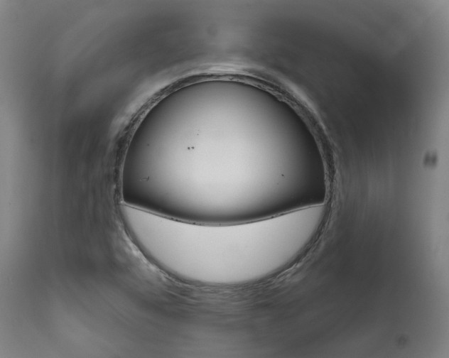 X0000111821456200907231012