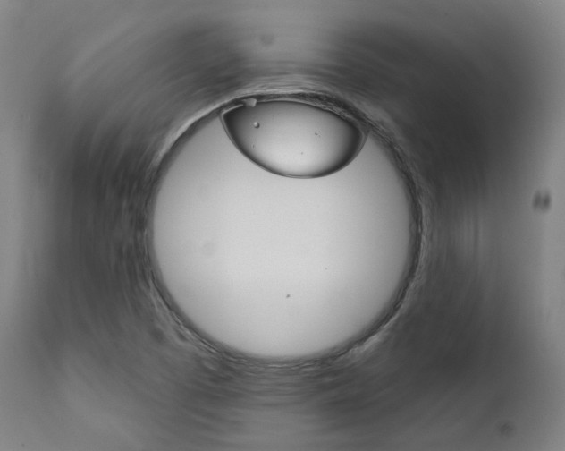 X0000111821457200907231012