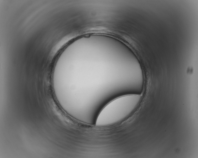 X0000111821458200907231012