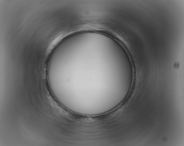 X0000111821459200907231012