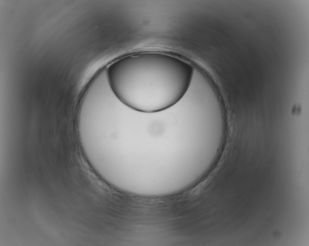 X0000111821461200907231012