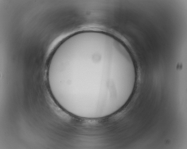 X0000111821462200907231012