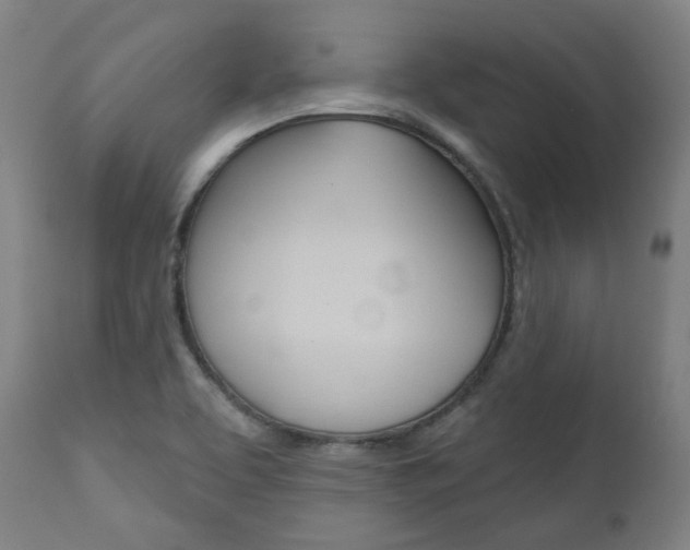 X0000111821463200907231012