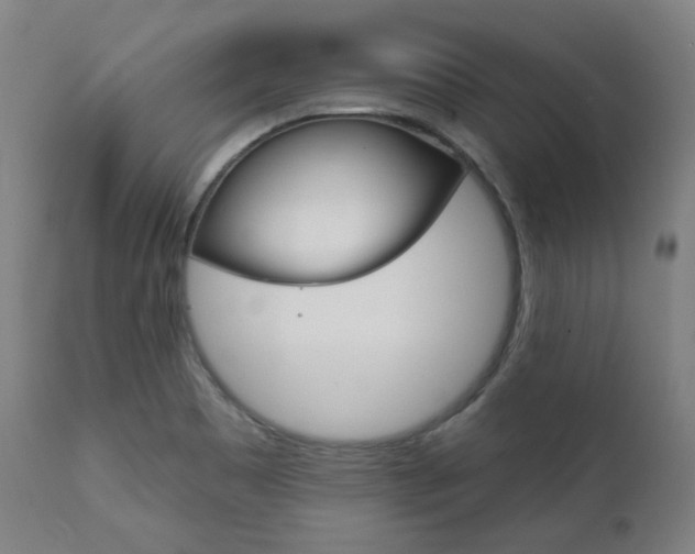 X0000111821465200907231012