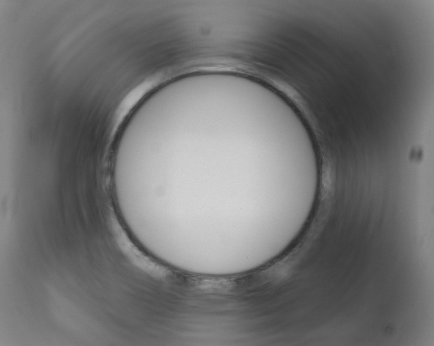 X0000111821466200907231012