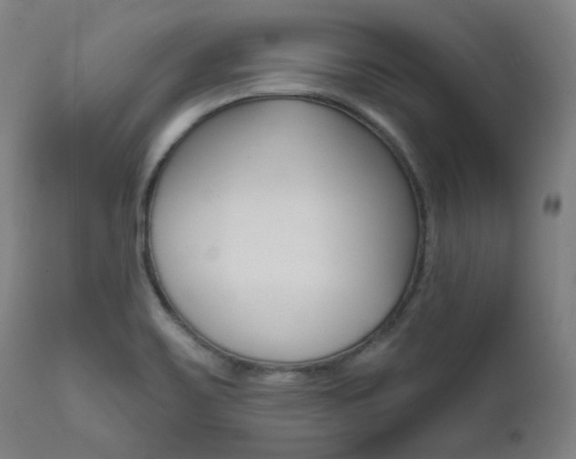 X0000111821467200907231012