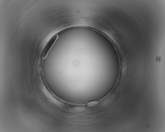 X0000111821468200907231012