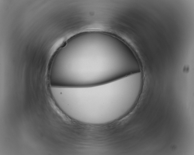 X0000111821469200907231012