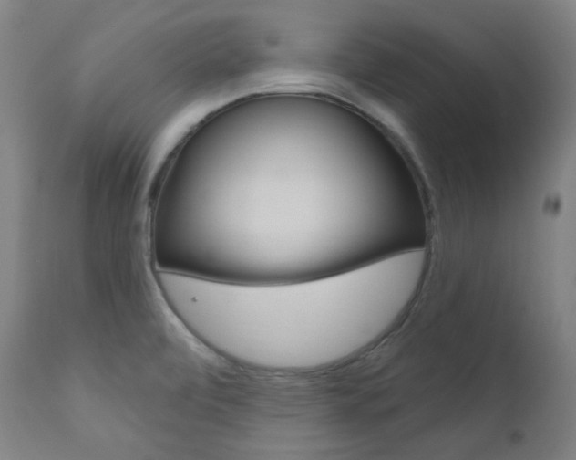 X0000111821472200907231012