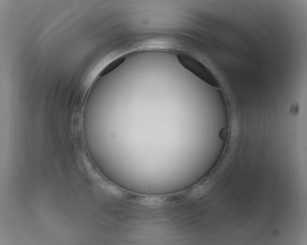 X0000111821473200907231012