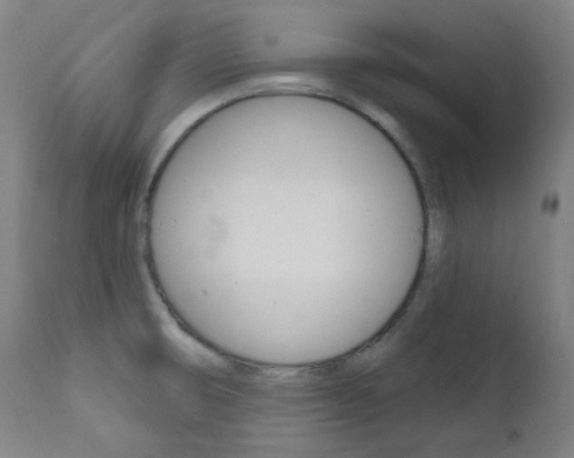 X0000111821474200907231012