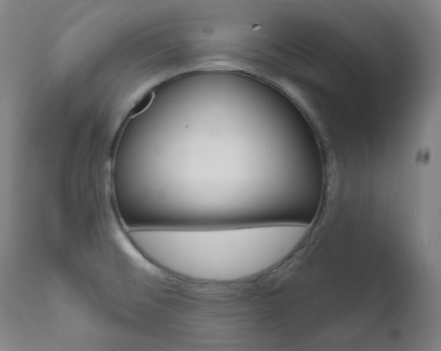 X0000111821476200907231012