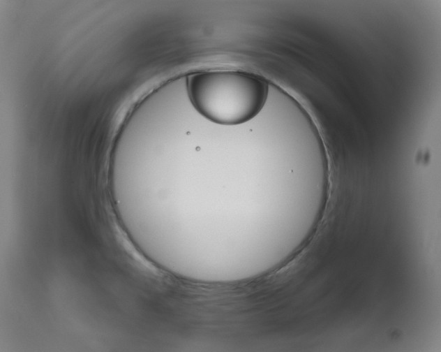 X0000111821477200907231012