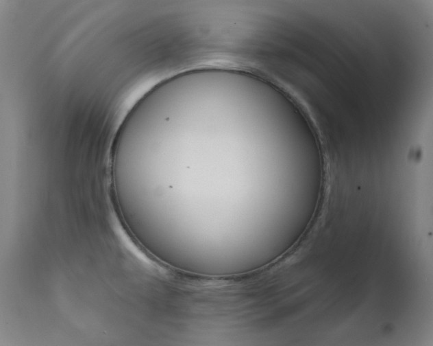 X0000111821479200907231012