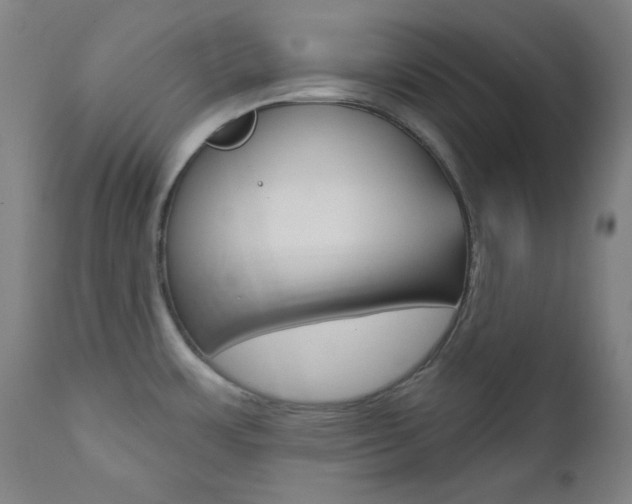 X0000111821483200907231012