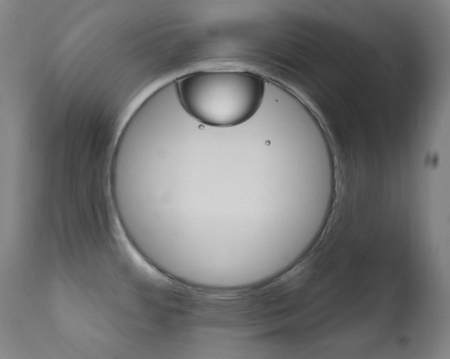 X0000111821484200907231012
