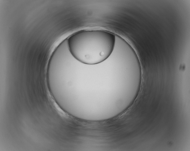 X0000111821485200907231012