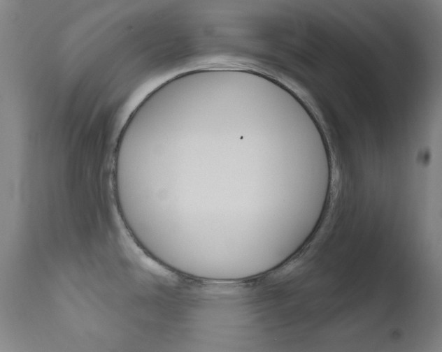 X0000111821486200907231012