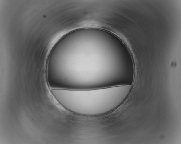 X0000111821488200907231012