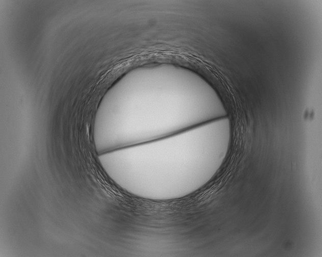 X0000111821489200907231011