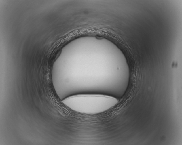 X0000111821490200907231011