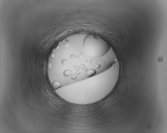 X0000111821491200907231011
