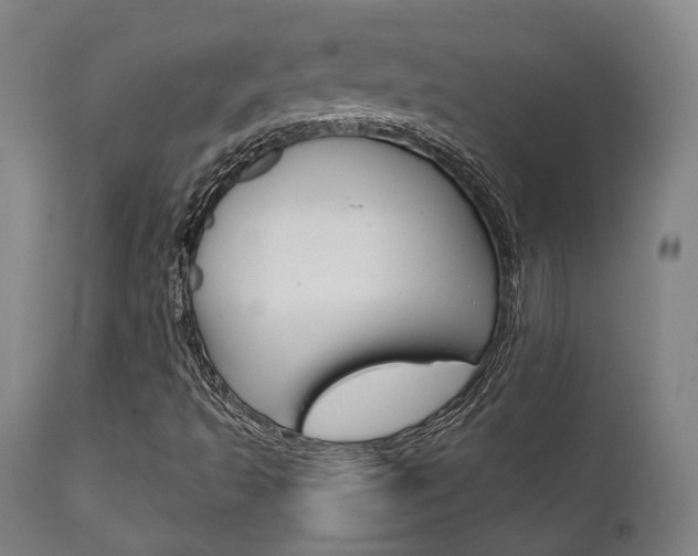 X0000111821493200907231011