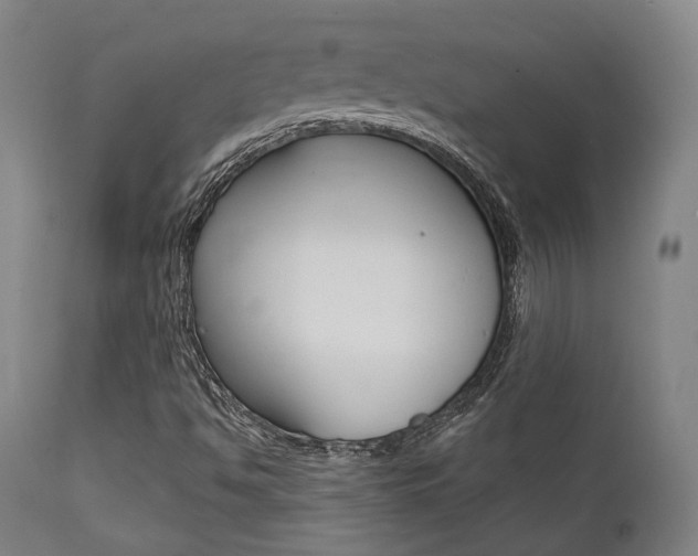 X0000111821494200907231011