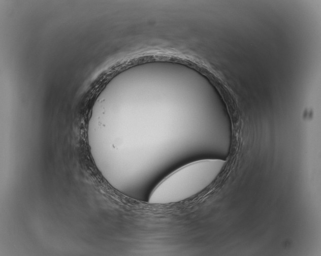X0000111821495200907231011