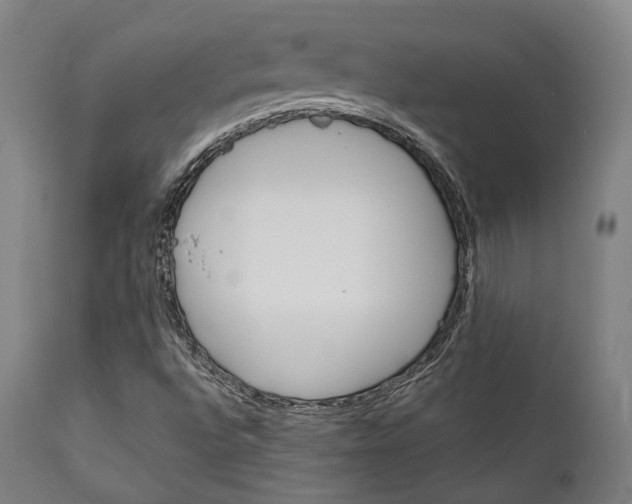 X0000111821496200907231011