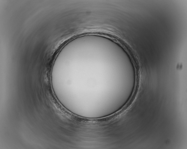 X0000111821497200907231011