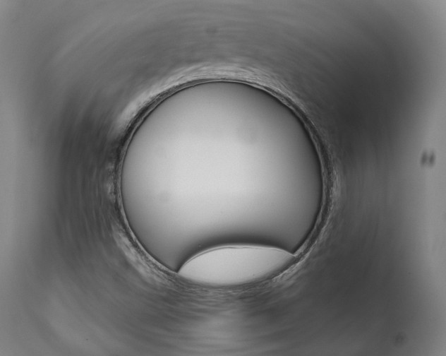 X0000111821499200907231011