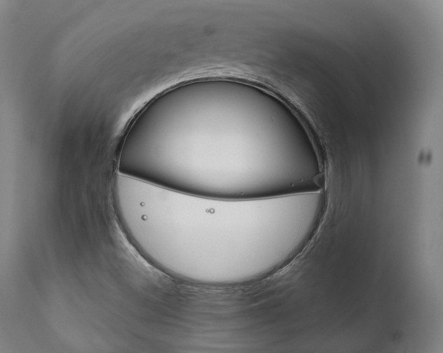 X0000111821500200907231011