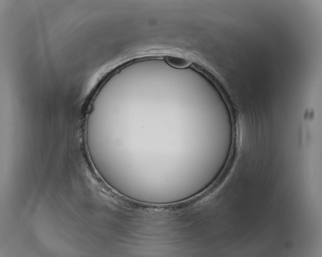 X0000111821501200907231011
