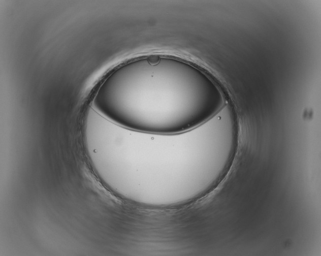 X0000111821502200907231011