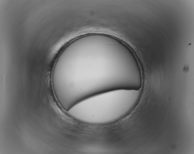 X0000111821503200907231011