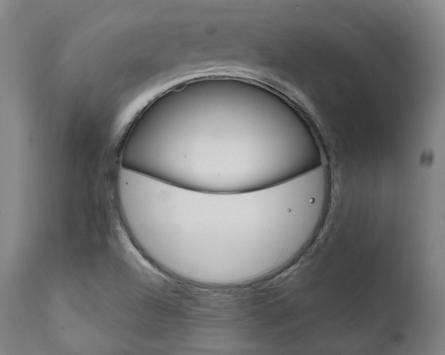 X0000111821504200907231011