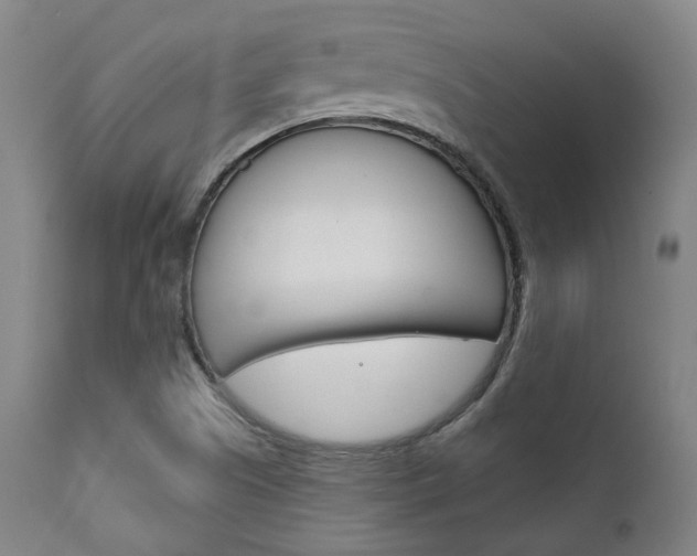 X0000111821505200907231011