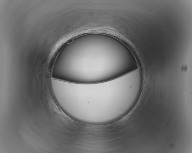 X0000111821506200907231011