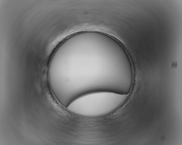 X0000111821507200907231011