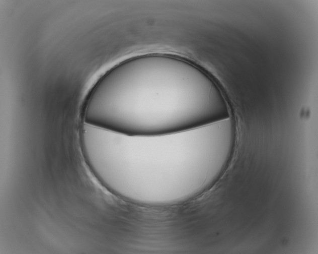 X0000111821508200907231011
