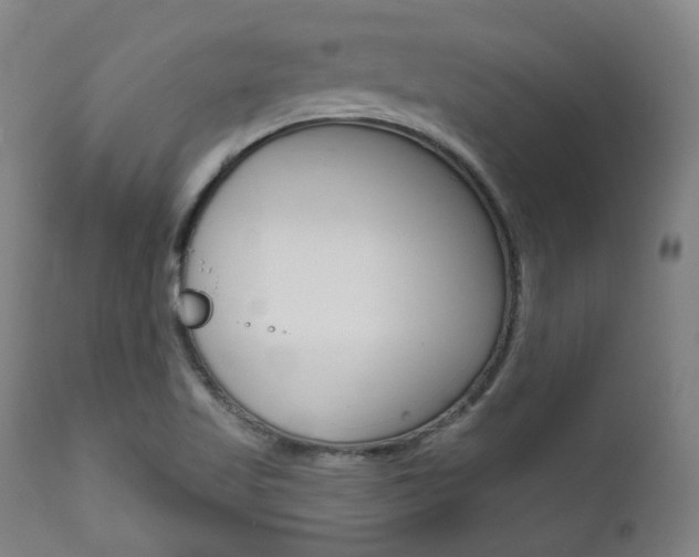 X0000111821509200907231011