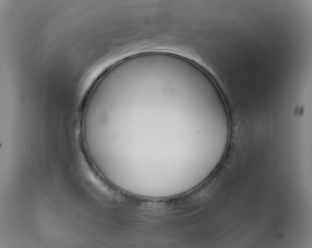 X0000111821511200907231011